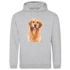 Hoodie with Print Funny Golden Retriever - 2XL grey