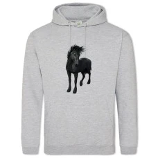 Hoodie with Print Beautiful Black Horse - 2XL grey
