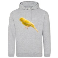 Hoodie with Print Yellow Bird - 2XL grey