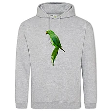 Hoodie with Print Green Parrot - 2XL grey