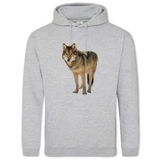 Hoodie with Print Wild Wolf - 2XL grey