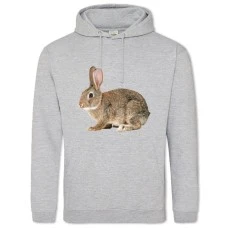 Худи с принтом Серый Дикий Кролик - 2XL серый