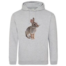 Hoodie with Print Wild Rabbit Sits - 2XL grey