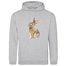 Hoodie with Print Cute Rabbit - 2XL grey