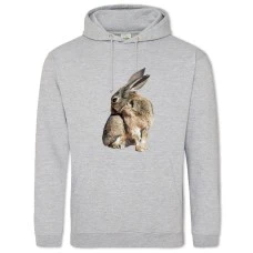 Hoodie with Print Wild Rabbit Scratches - 2XL grey