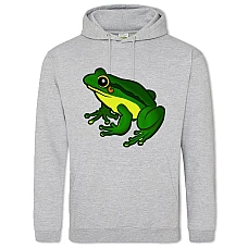 Hoodie with Print Funny Frog From Cartoon - 2XL grey