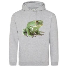 Hoodie with Print Funny Frog From Cartoon Print - 2XL grey