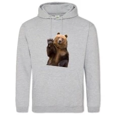Hoodie with Print Bear Says 