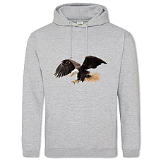 Hoodie with Print Eagle Flies - 2XL grey