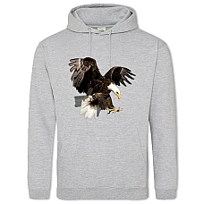 Hoodie with Print Eagle Hunts - 2XL grey