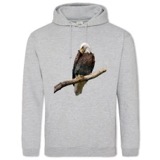 Hoodie with Print Eagle Sits On Stick - 2XL grey