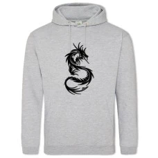 Hoodie with Print Dinosaur - 2XL grey