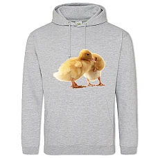 Hoodie with Print Two Small Ducks - 2XL grey