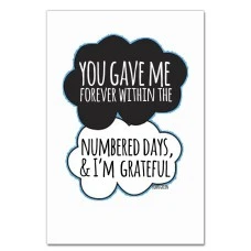 Notebooks A5 with print Виноваты Звёзды Quote 2 -