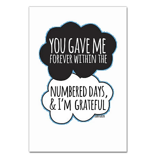 Notebooks A5 with print Виноваты Звёзды Quote 2 -