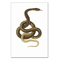 Notebooks A5 with print Yellow Snake Jigsaw -