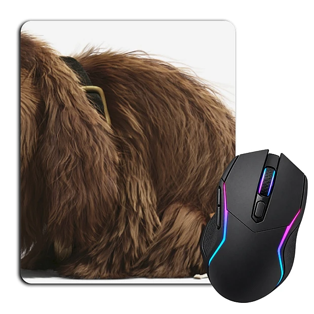 Mouse pad with print The Secret Life Of Pets Max And Duke