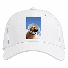 Baseball cap with Print Up Dog Dug - white