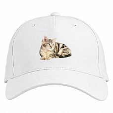 Baseball cap with Print Cute Kitten - white