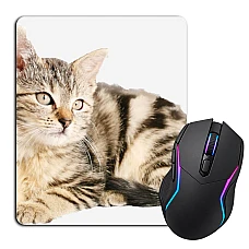 Mouse pad with print Cute Kitten