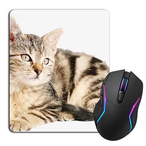 Mouse pad with print Cute Kitten