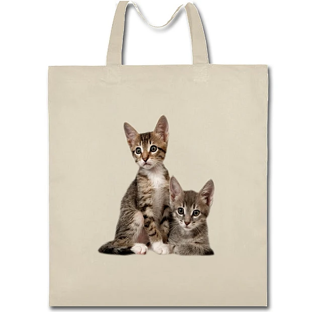 Eco bag with print Two Cute Kittens - beige