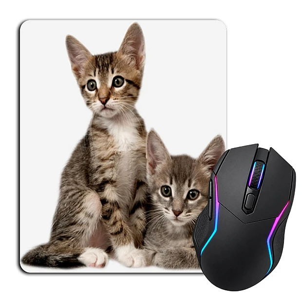 Mouse pad with print Two Cute Kittens