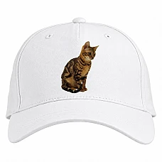 Baseball cap with Print Cat Sits - white