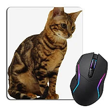 Mouse pad with print Cat Sits