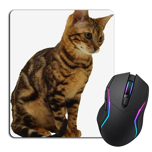 Mouse pad with print Cat Sits