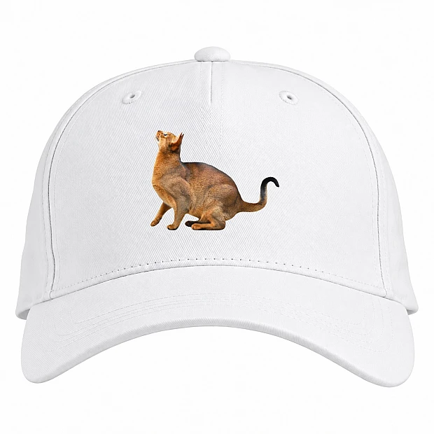 Baseball cap with Print Abissianian Cat - white