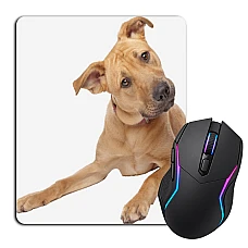Mouse pad with print Begging Dog