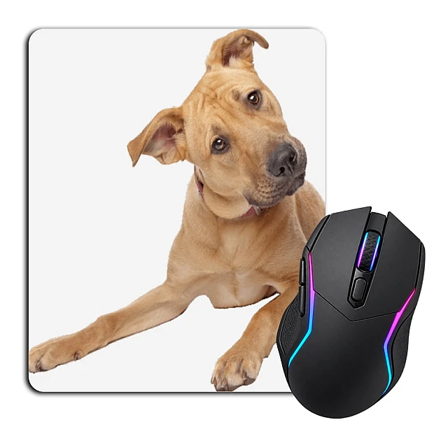 Mouse pad with print Begging Dog