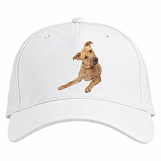 Baseball cap with Print Begging Dog - white