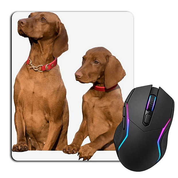 Mouse pad with print Two Dogs Look Somewhere