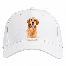 Baseball cap with Print Funny Golden Retriever - white