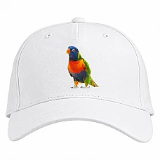 Baseball cap with Print Colorful Bird - white