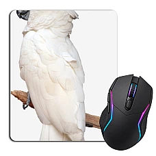 Mouse pad with print White Parrot
