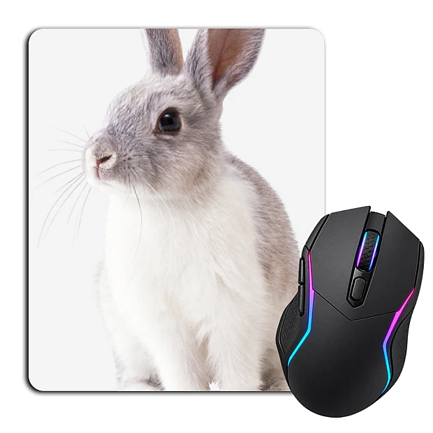 Mouse pad with print White And Grey Rabbit