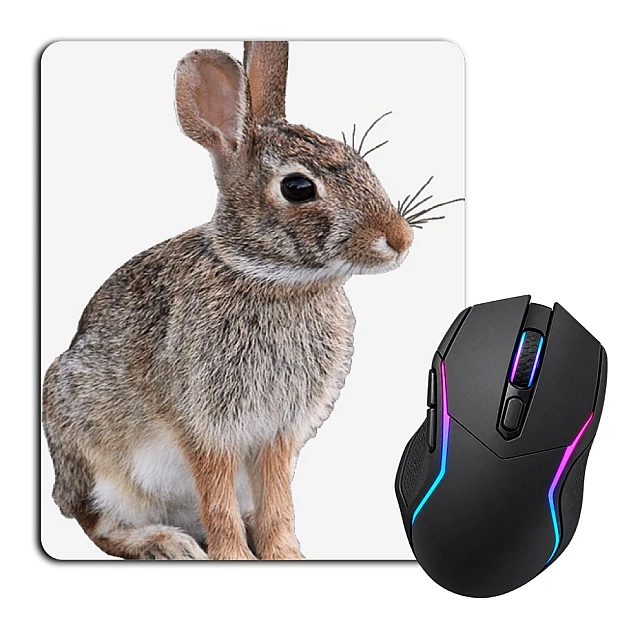 Mouse pad with print Wild Rabbit Sits