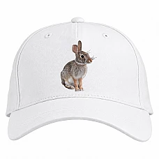 Baseball cap with Print Wild Rabbit Sits - white