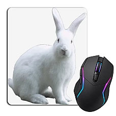 Mouse pad with print White Rabbit