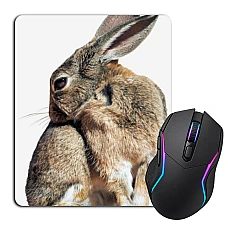 Mouse pad with print Wild Rabbit Scratches