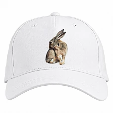 Baseball cap with Print Wild Rabbit Scratches - white