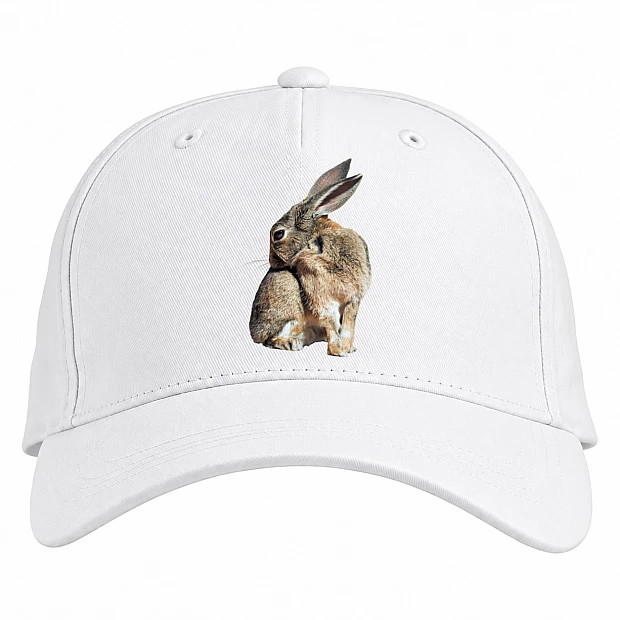 Baseball cap with Print Wild Rabbit Scratches - white