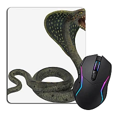 Mouse pad with print Evil Snake