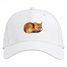 Baseball cap with Print Fox Lies - white