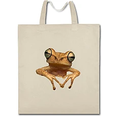 Eco bag with print Yellow Frog - beige