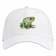 Baseball cap with Print Funny Frog From Cartoon Print - white