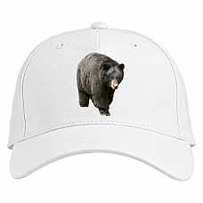 Кепка з принтом Темний Бурий Ведмідь Йде - біла